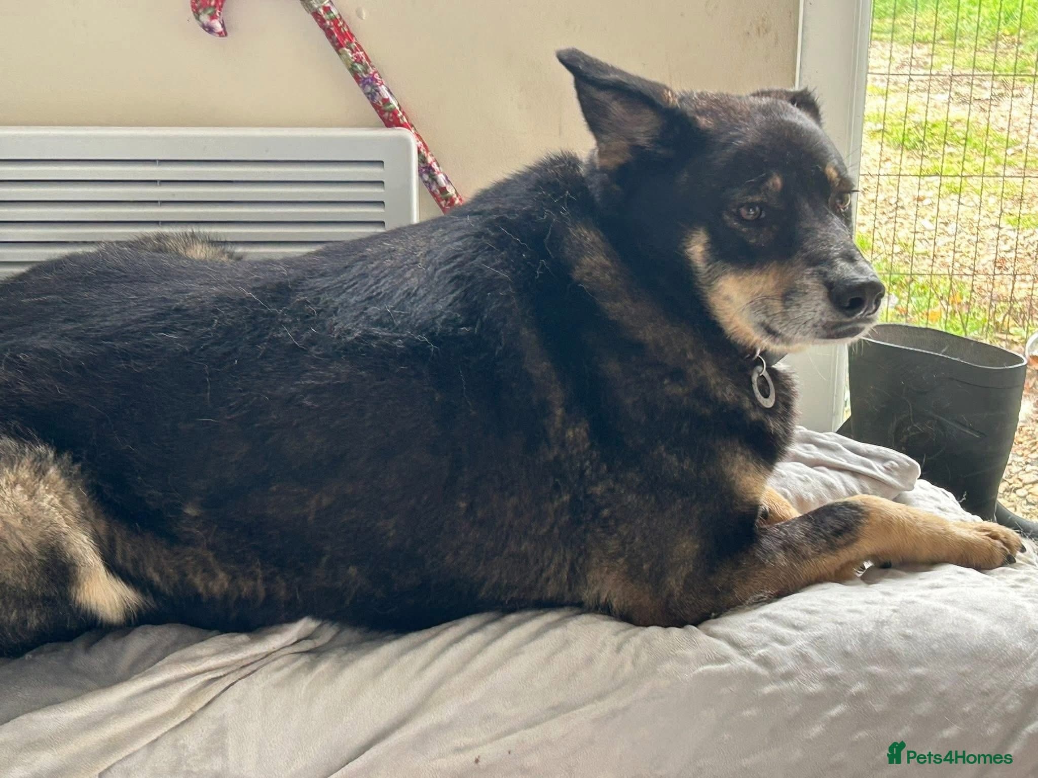 Ben - Norwich Norfolk photo 13