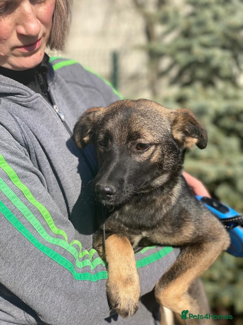 οΈπΆ kuba photo 15