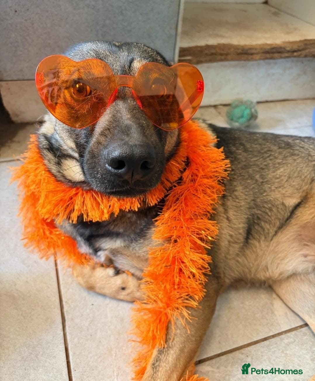 Luna πΎπ photo 18