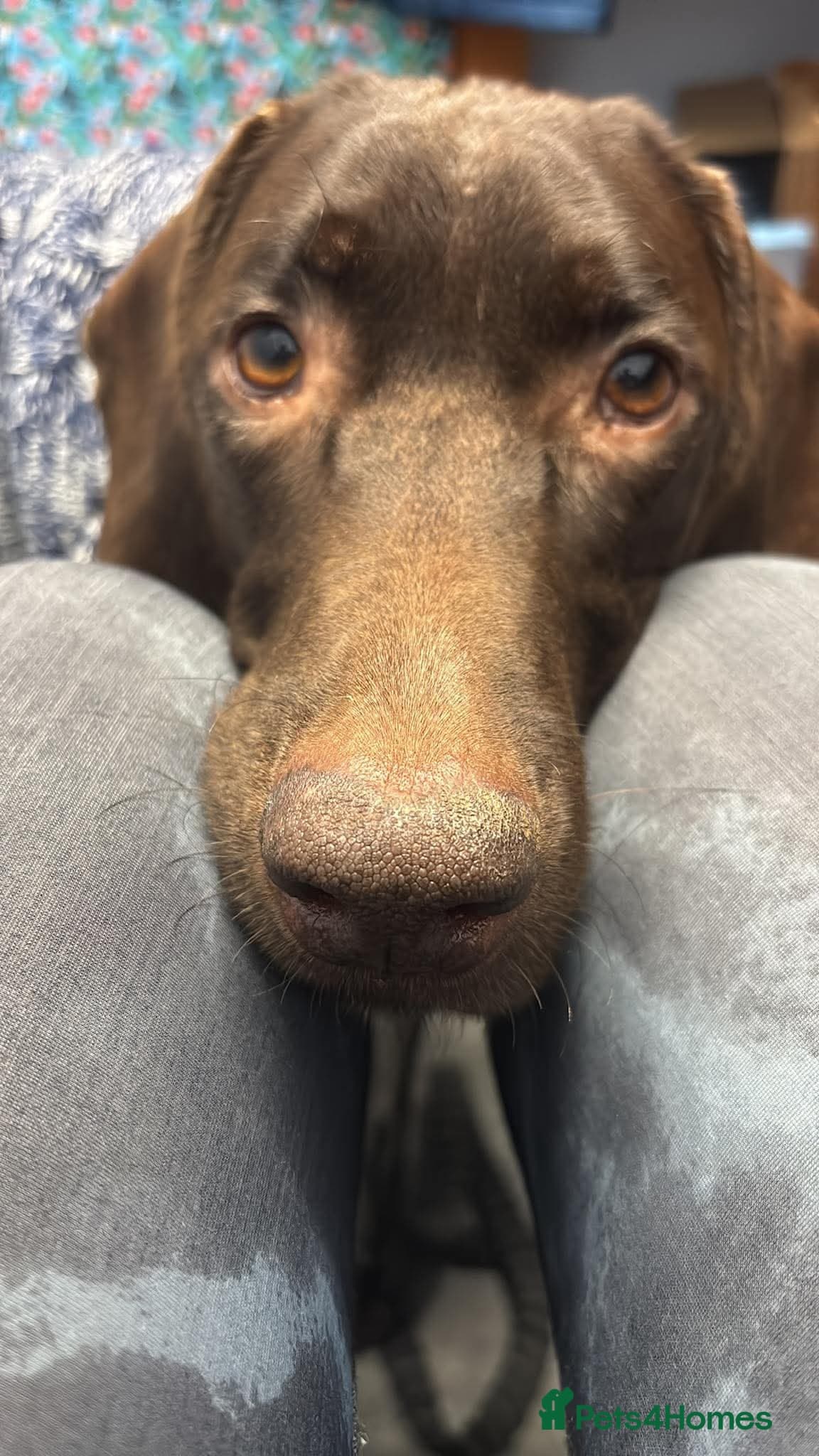 ️ meet wilson photo 12