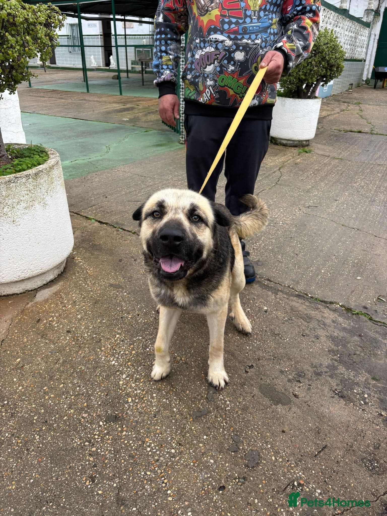 Titan❤️🐾 photo 2