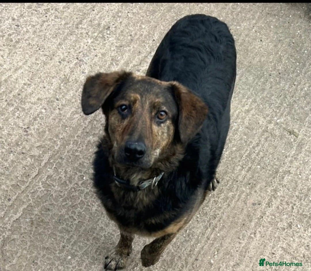 Meet Jess, currently residing in Essex photo 5