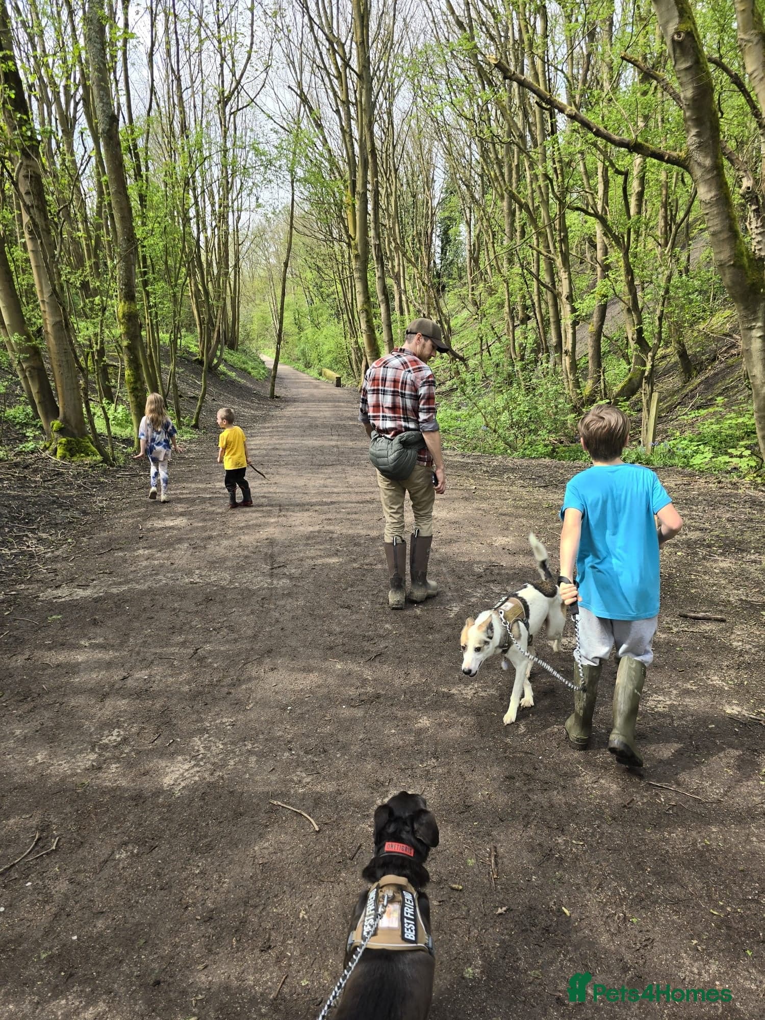 οΈπΆ bela photo 17