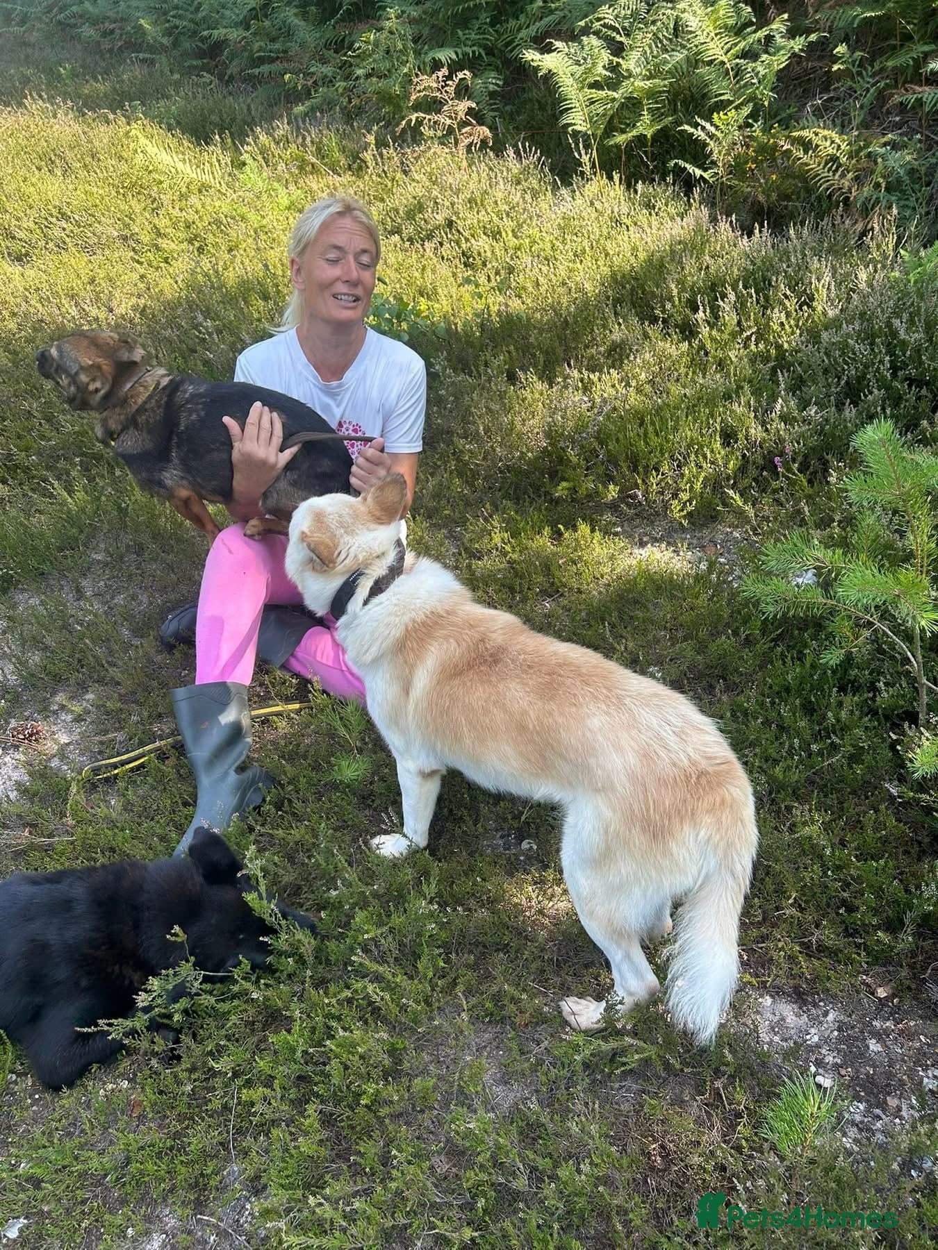 Song - Norwich Norfolk photo 23