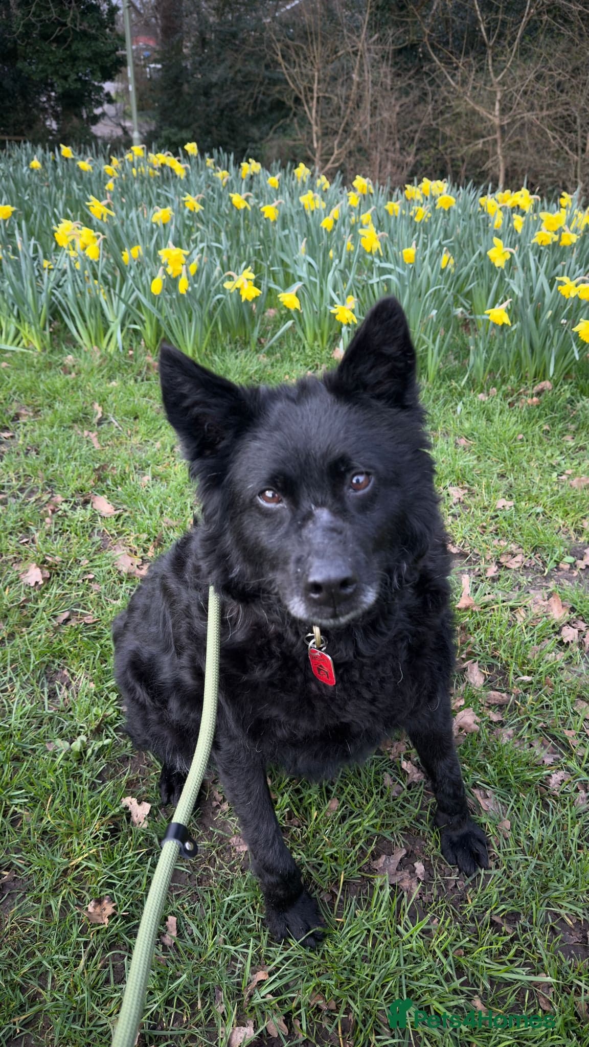 Meet Handsome Jensen photo 2