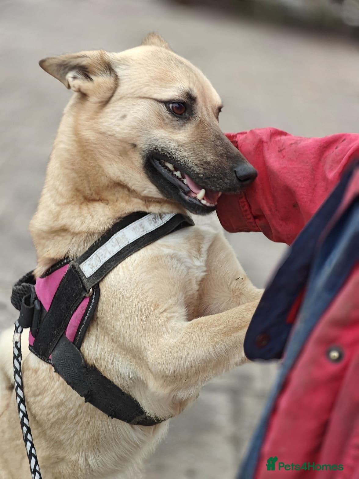 ๏ธ๐ถ stacy photo 15