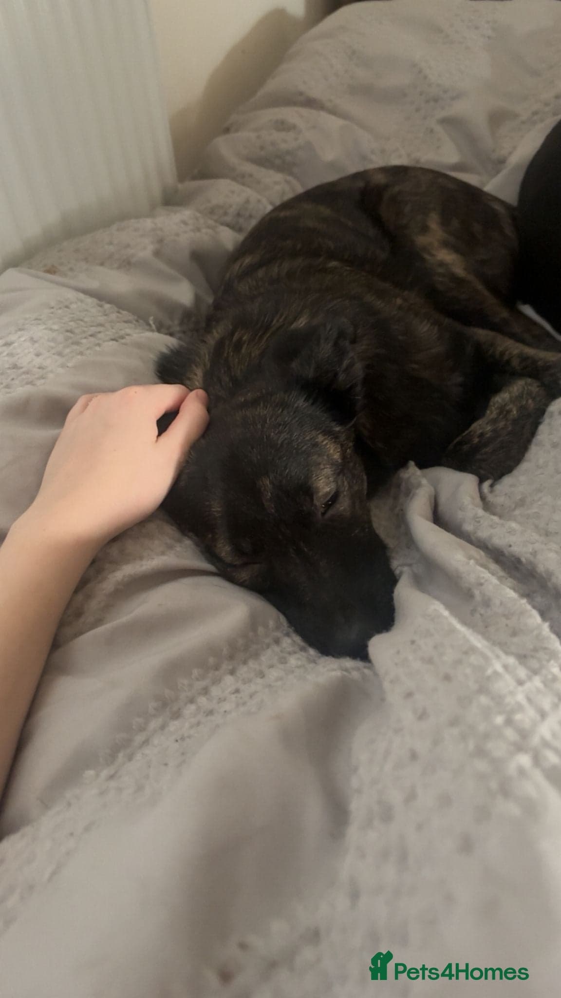 Urgent: ๐milo๐ photo 5