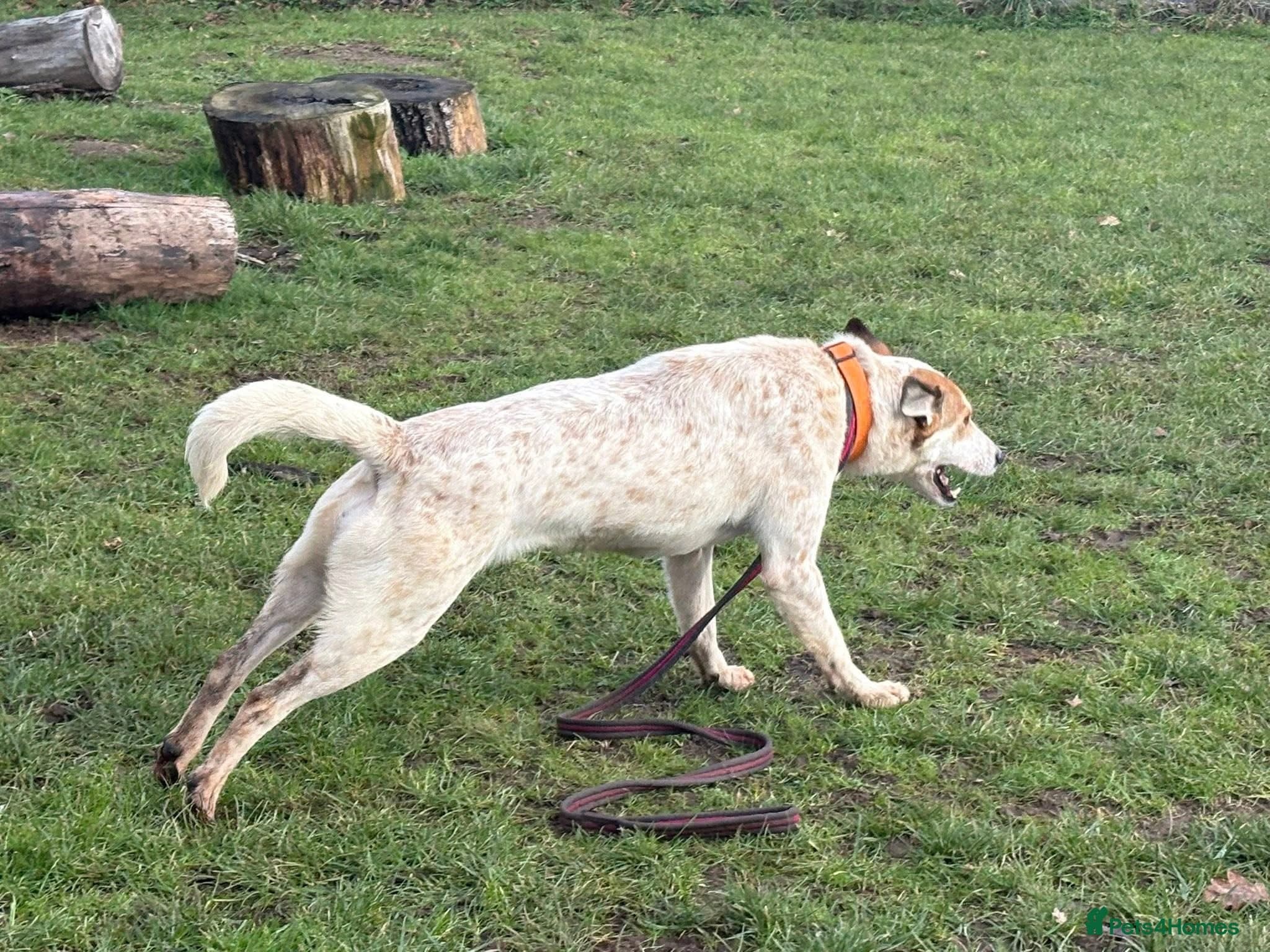 Trinity - Norwich Norfolk photo 15