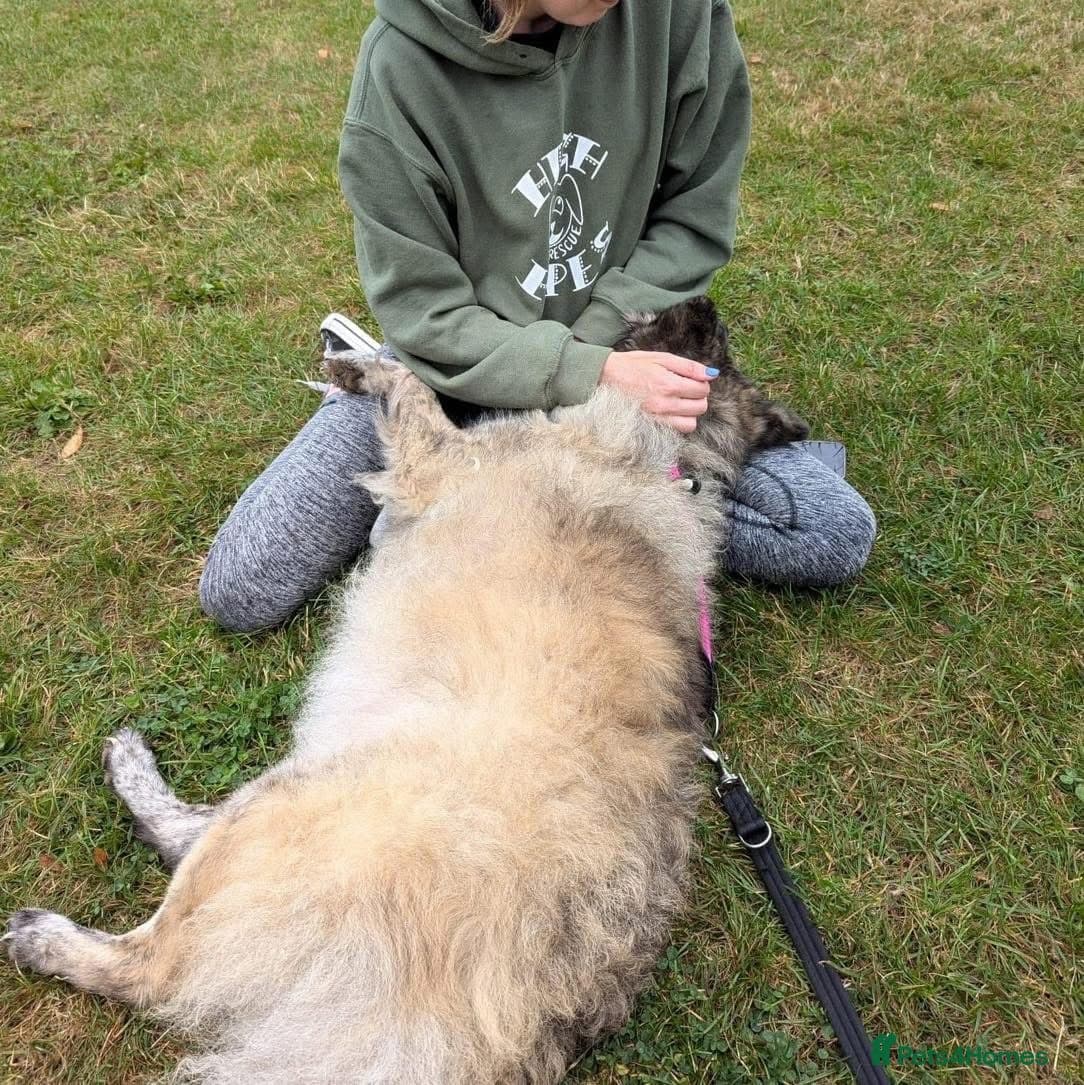 Luna Chow π photo 10