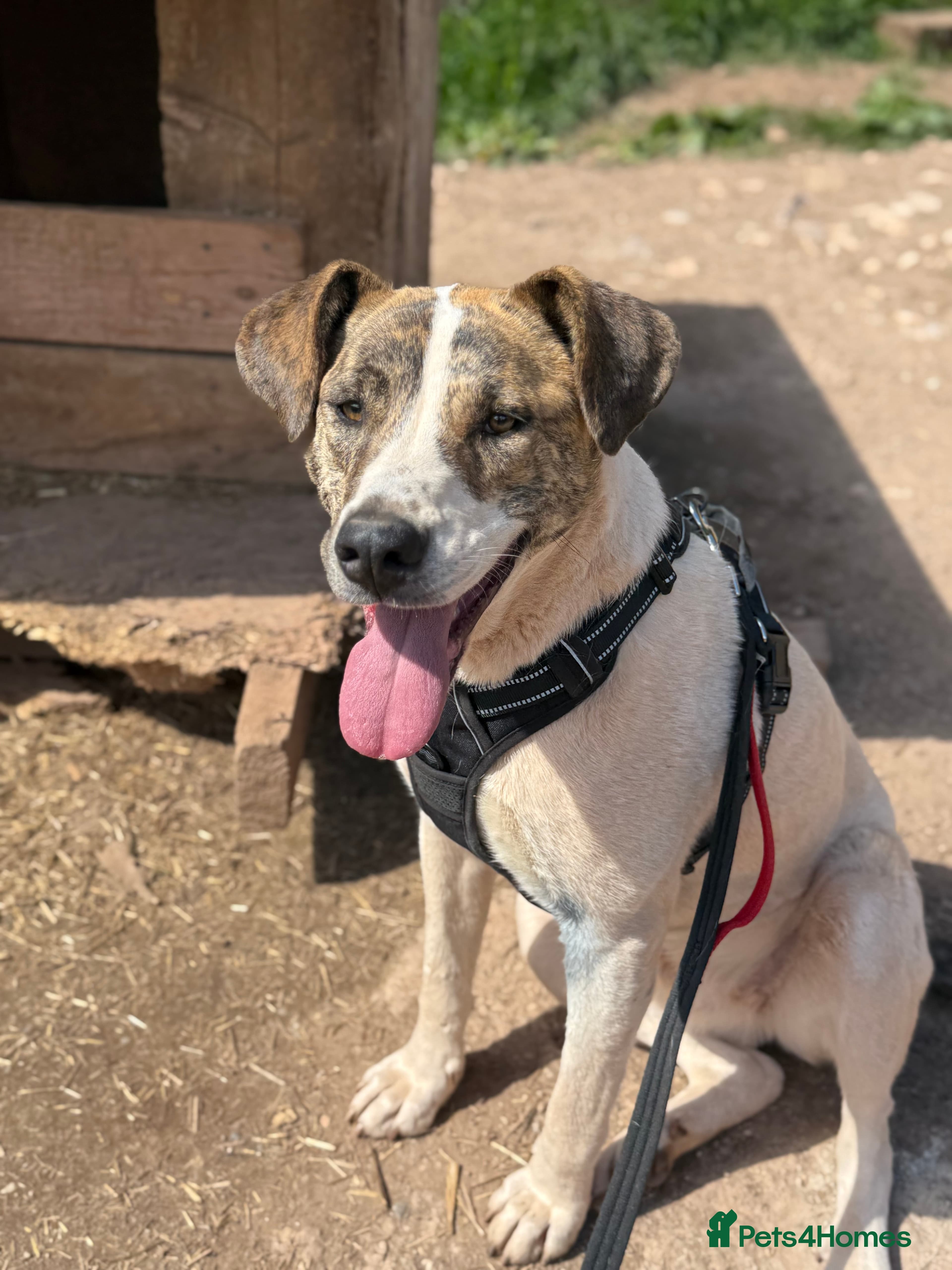 Jasmine π©· photo 6