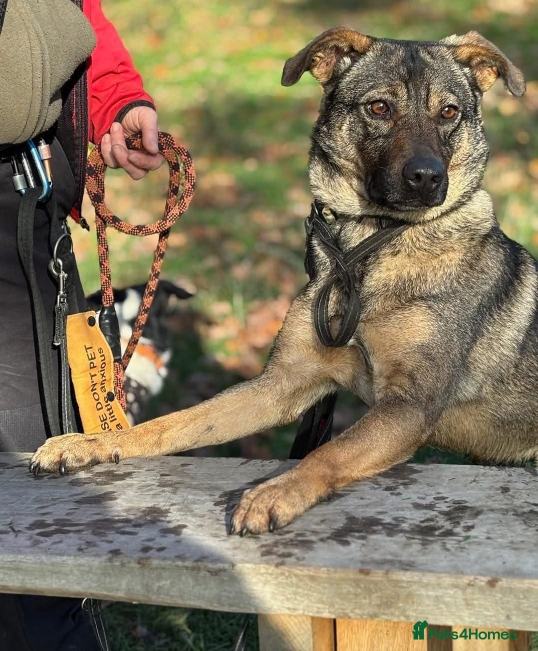 Luna πΎπ photo 19