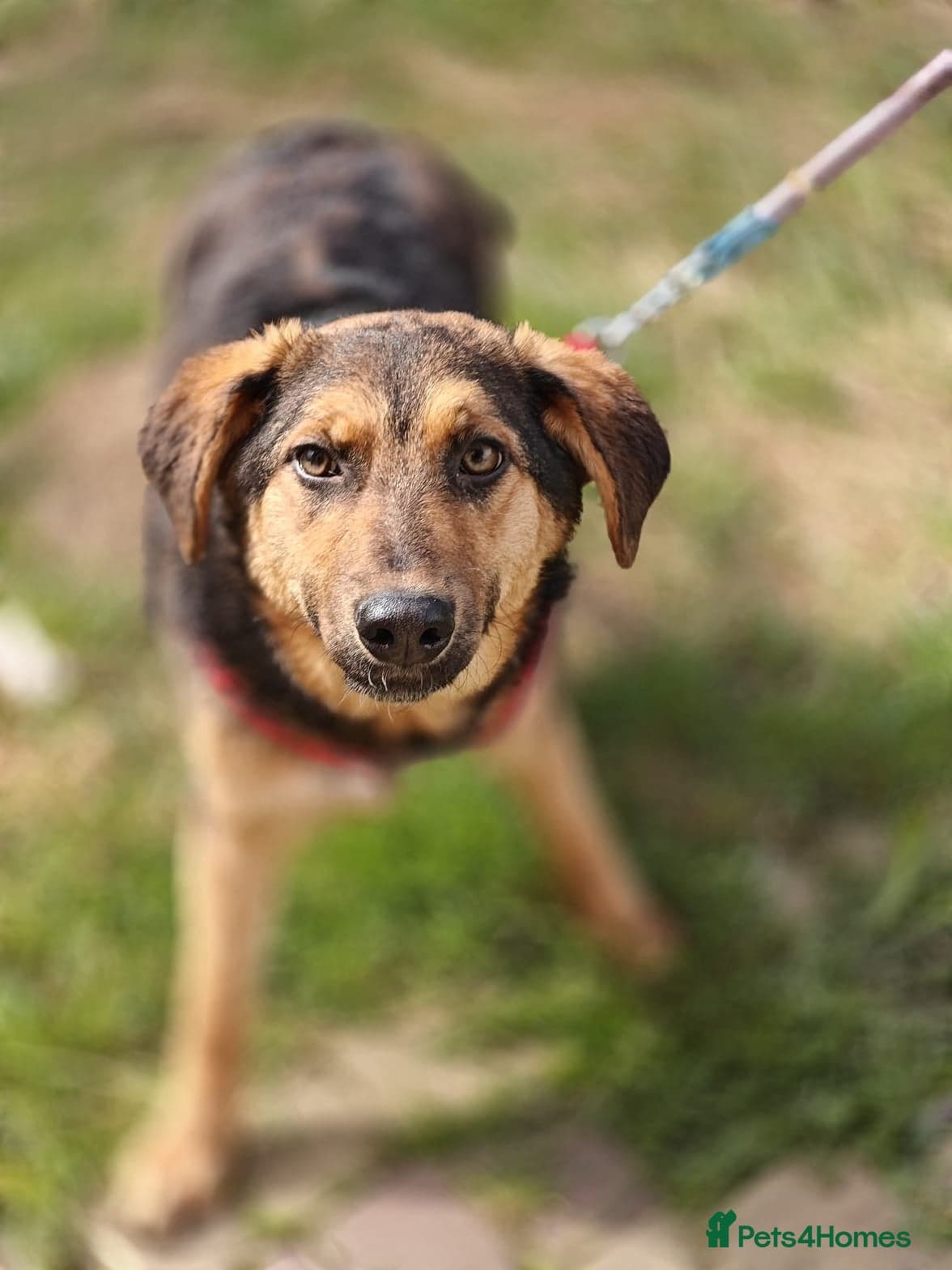 οΈπΆ yasia photo 18