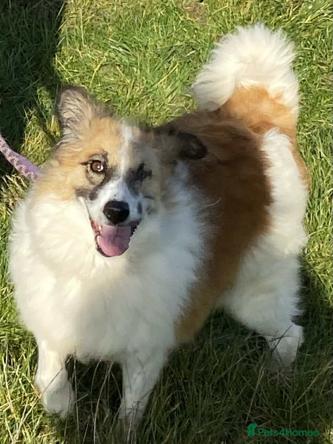 Jessie ❤️ photo 3