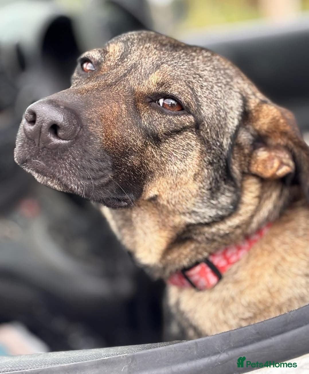 Luna πΎπ photo 17