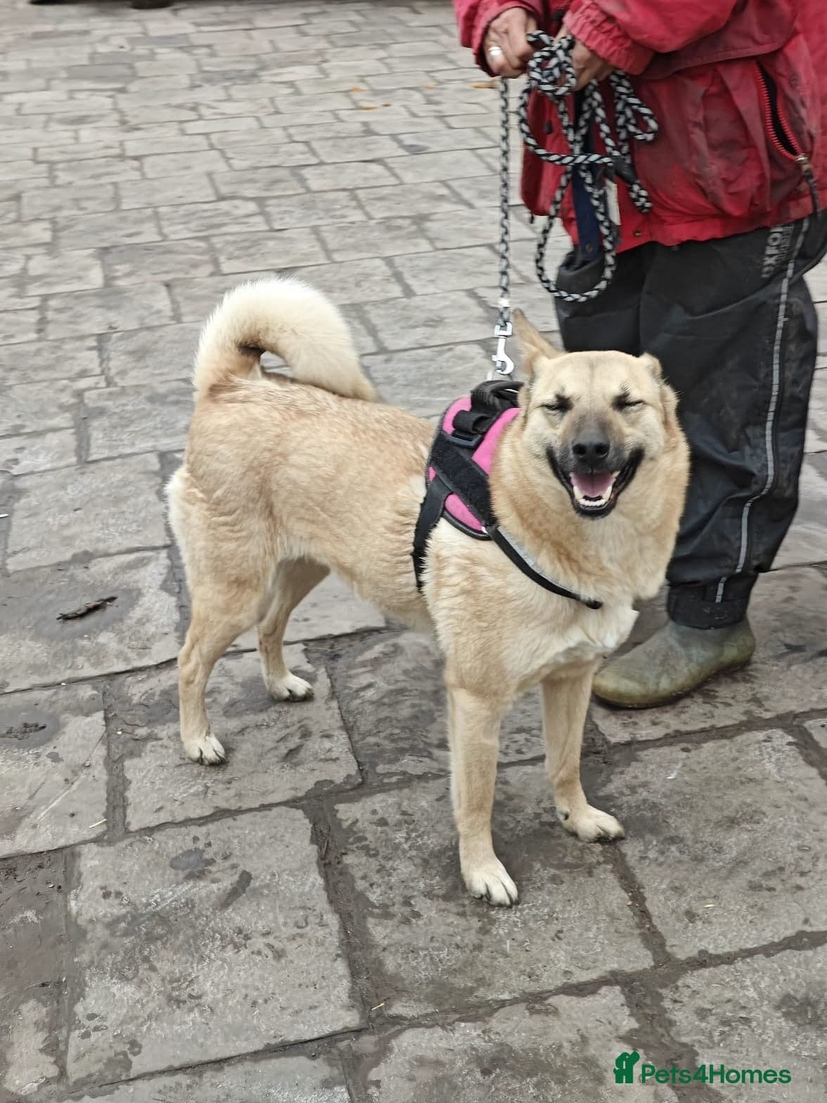 ๏ธ๐ถ stacy photo 9