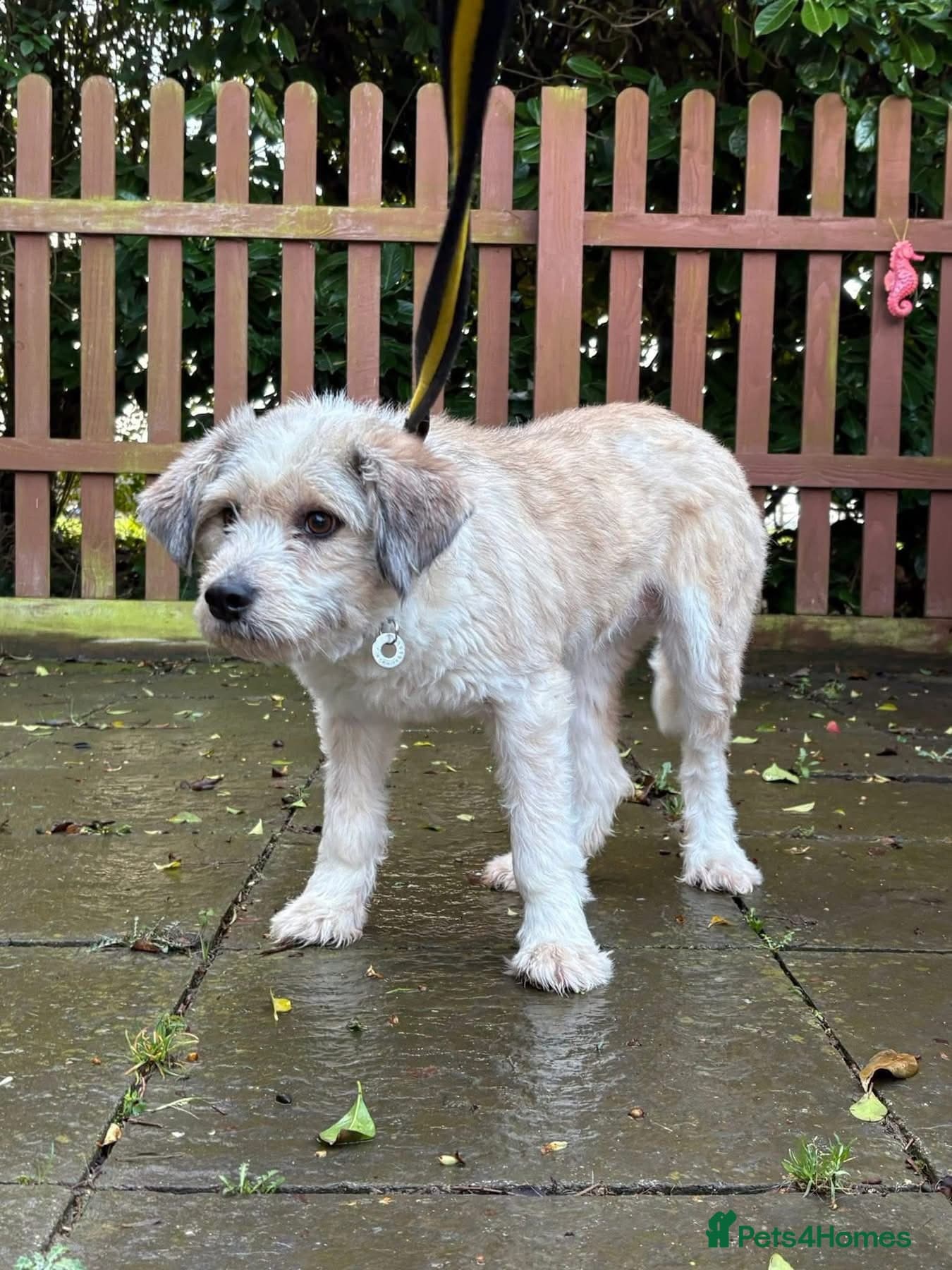 Kim - Norwich Norfolk photo 5