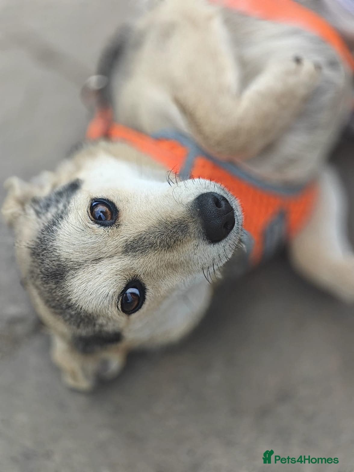 οΈπΆ maree photo 5