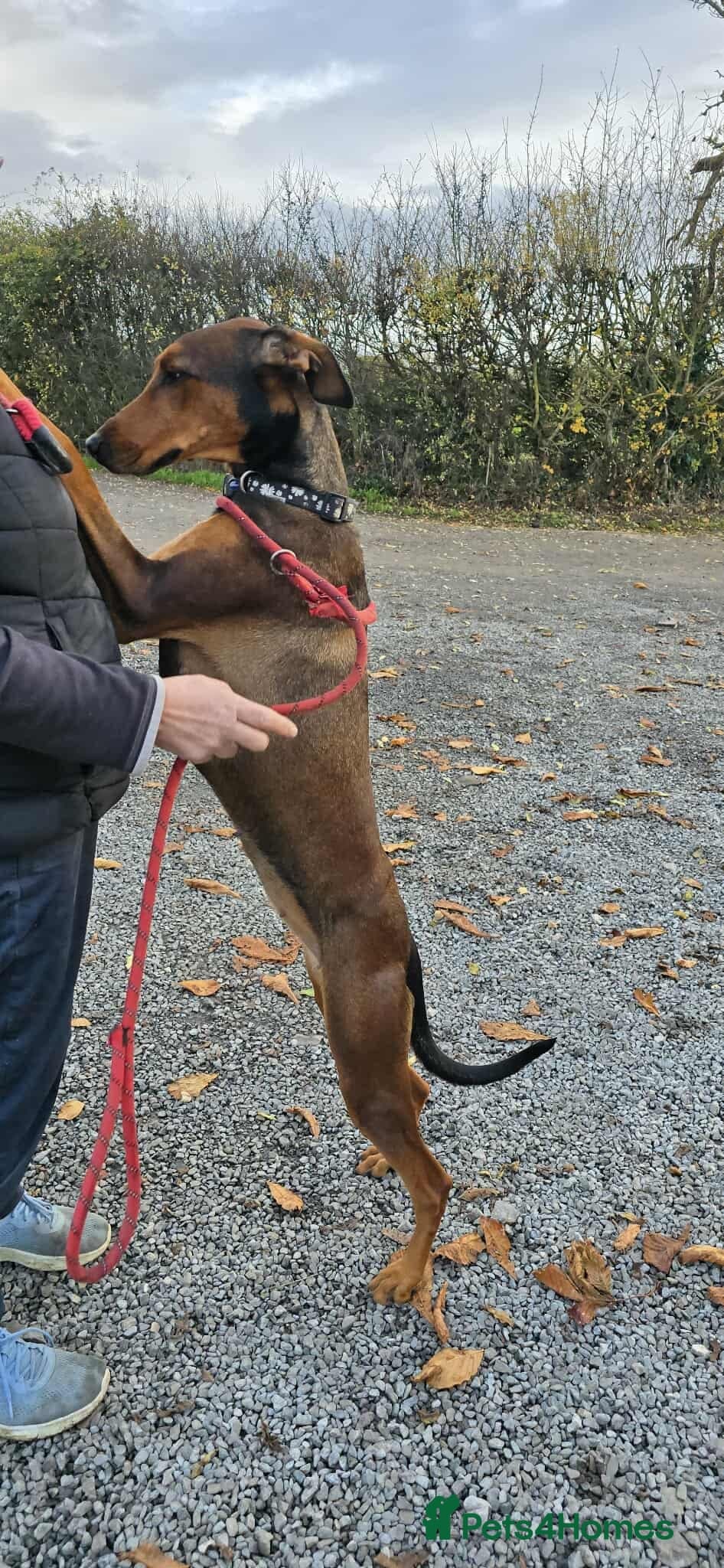 BONNIE π Playful, Loving Girl photo 10