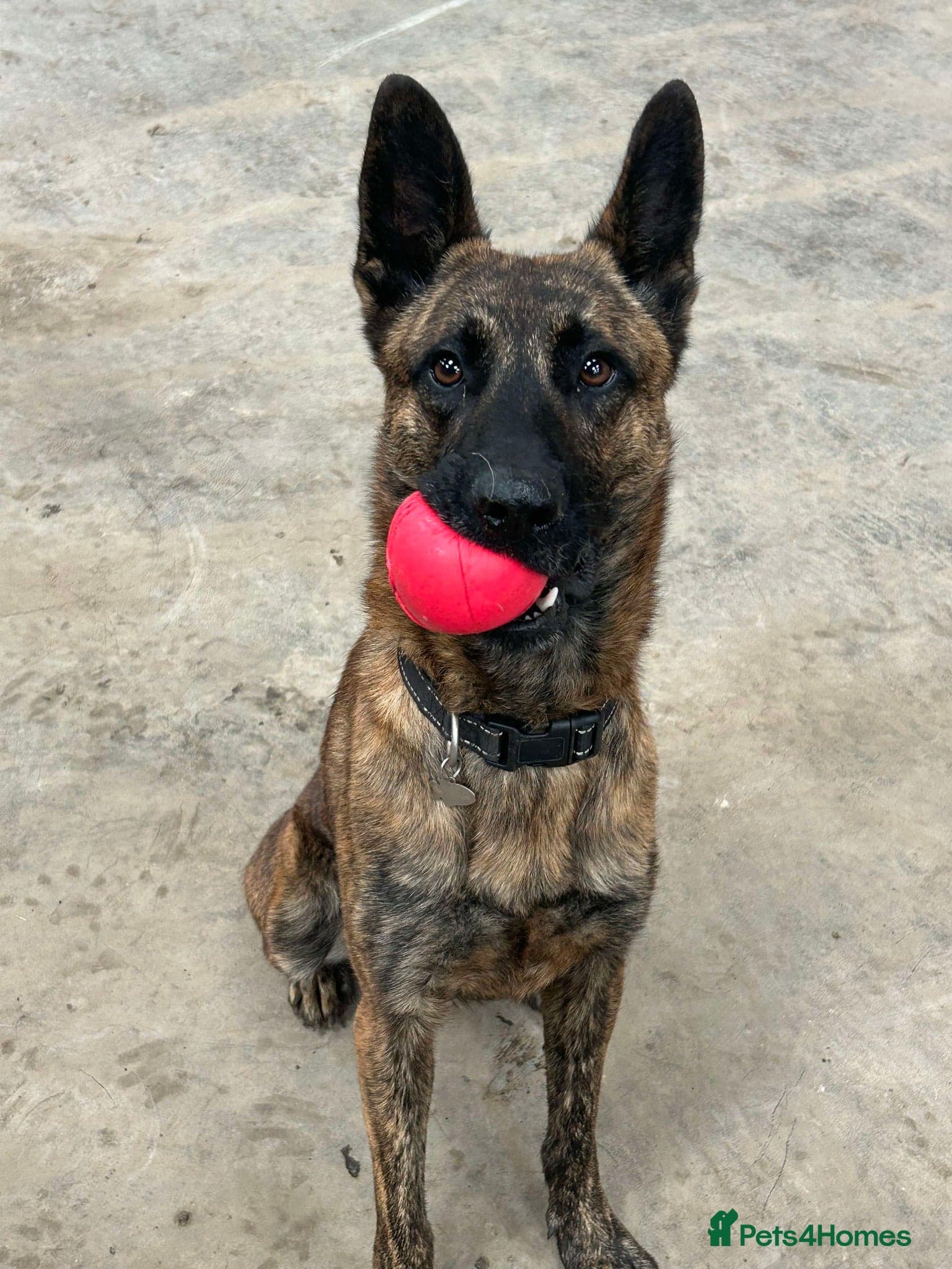 Beautiful buzz photo 2