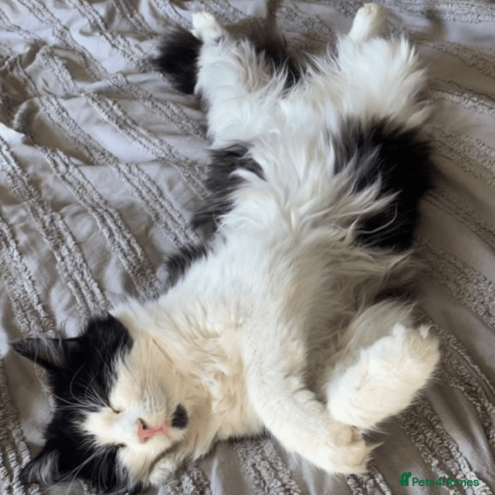 Sweet, Outdoorsy Girlie photo 3