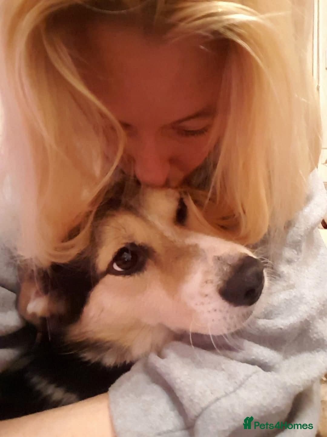 Tara - Norwich Norfolk photo 14