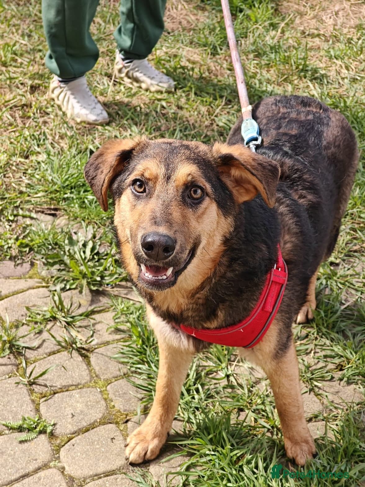 οΈπΆ yasia photo 14