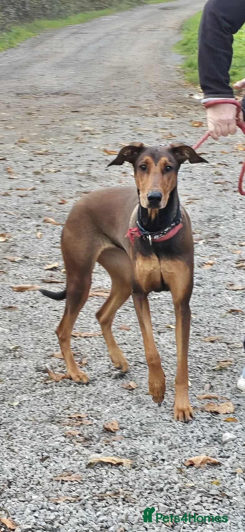 BONNIE π Playful, Loving Girl photo 14