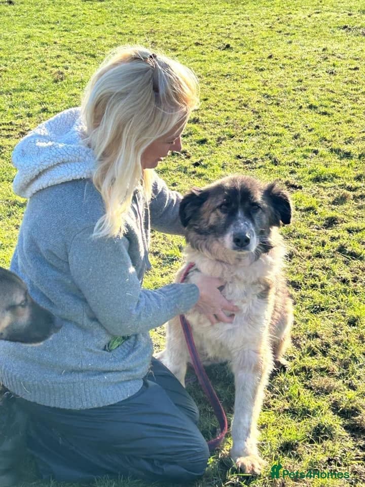 Hilda - Norwich Norfolk photo 21