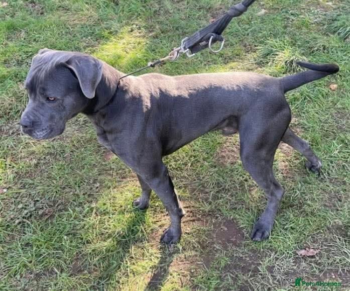 Meet Sky, currently residing in Merseyside photo 5