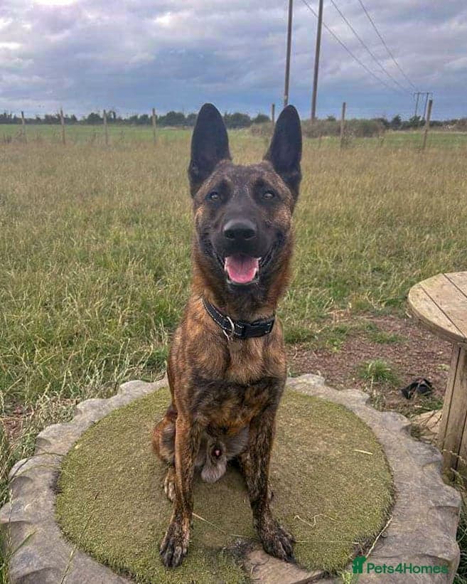 Beautiful buzz photo 3