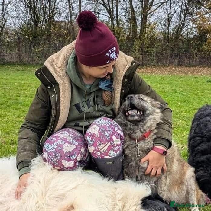 Luna Chow π photo 14