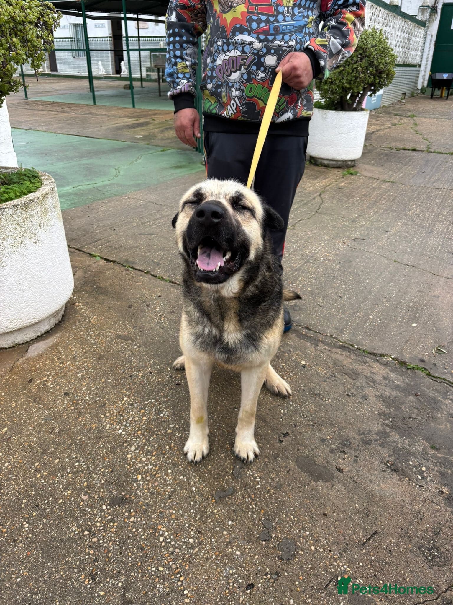 Titan❤️🐾 photo 3