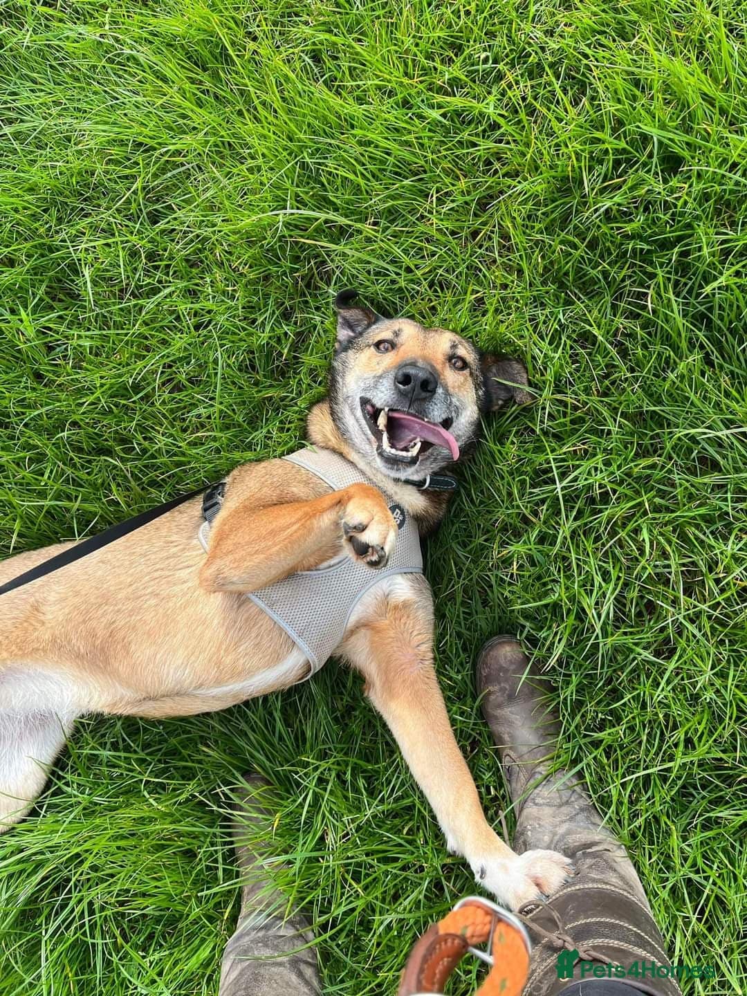 Meet Faith, currently residing in Cheshire photo 4