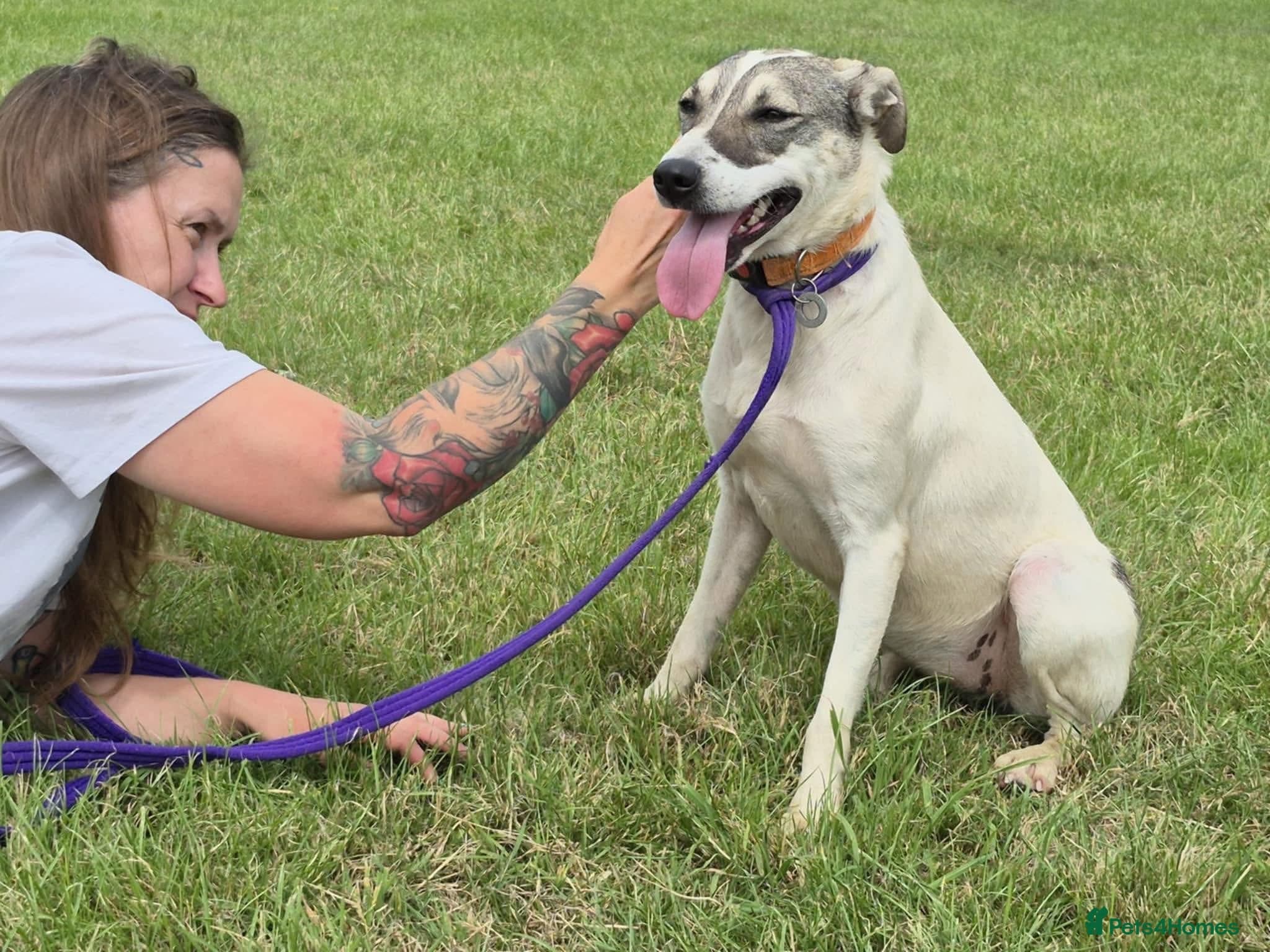 Lotty (2) Norwich Norfolk photo 14