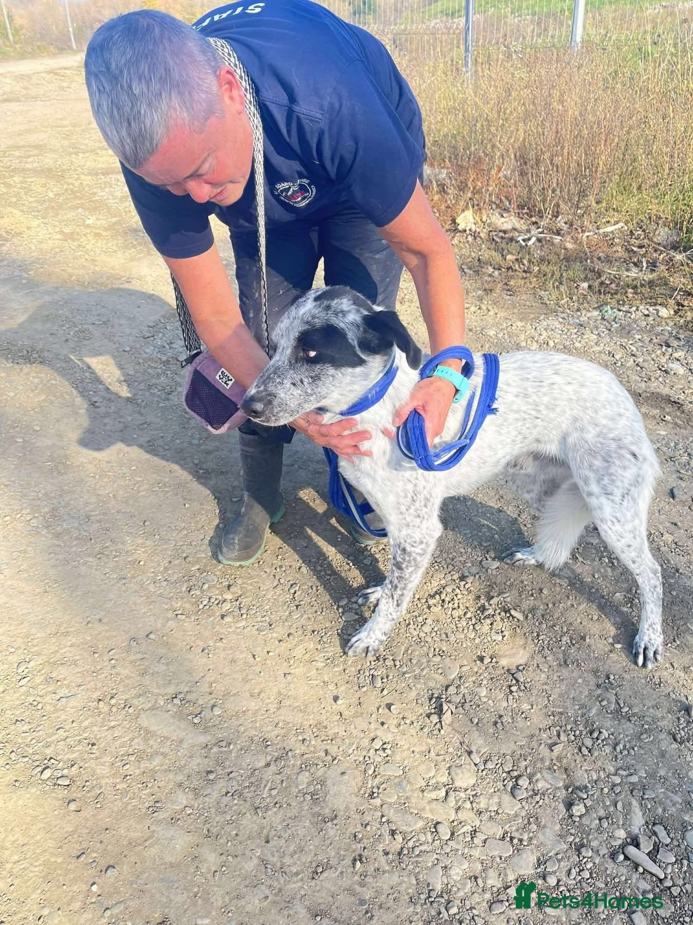 Cessil - Norwich Norfolk photo 17