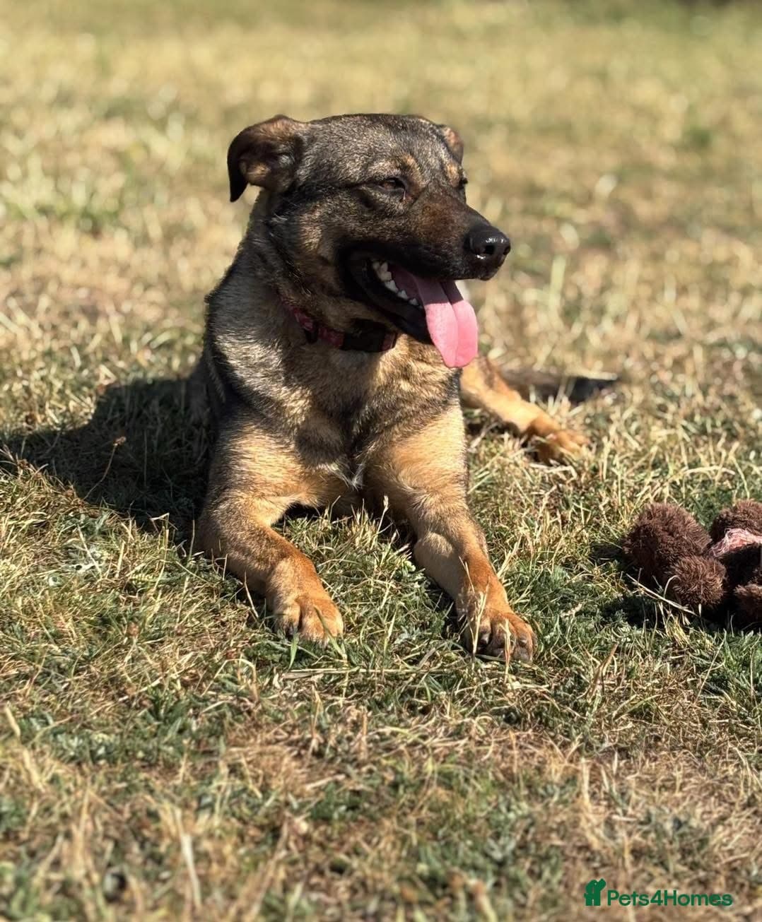 Luna πΎπ photo 26