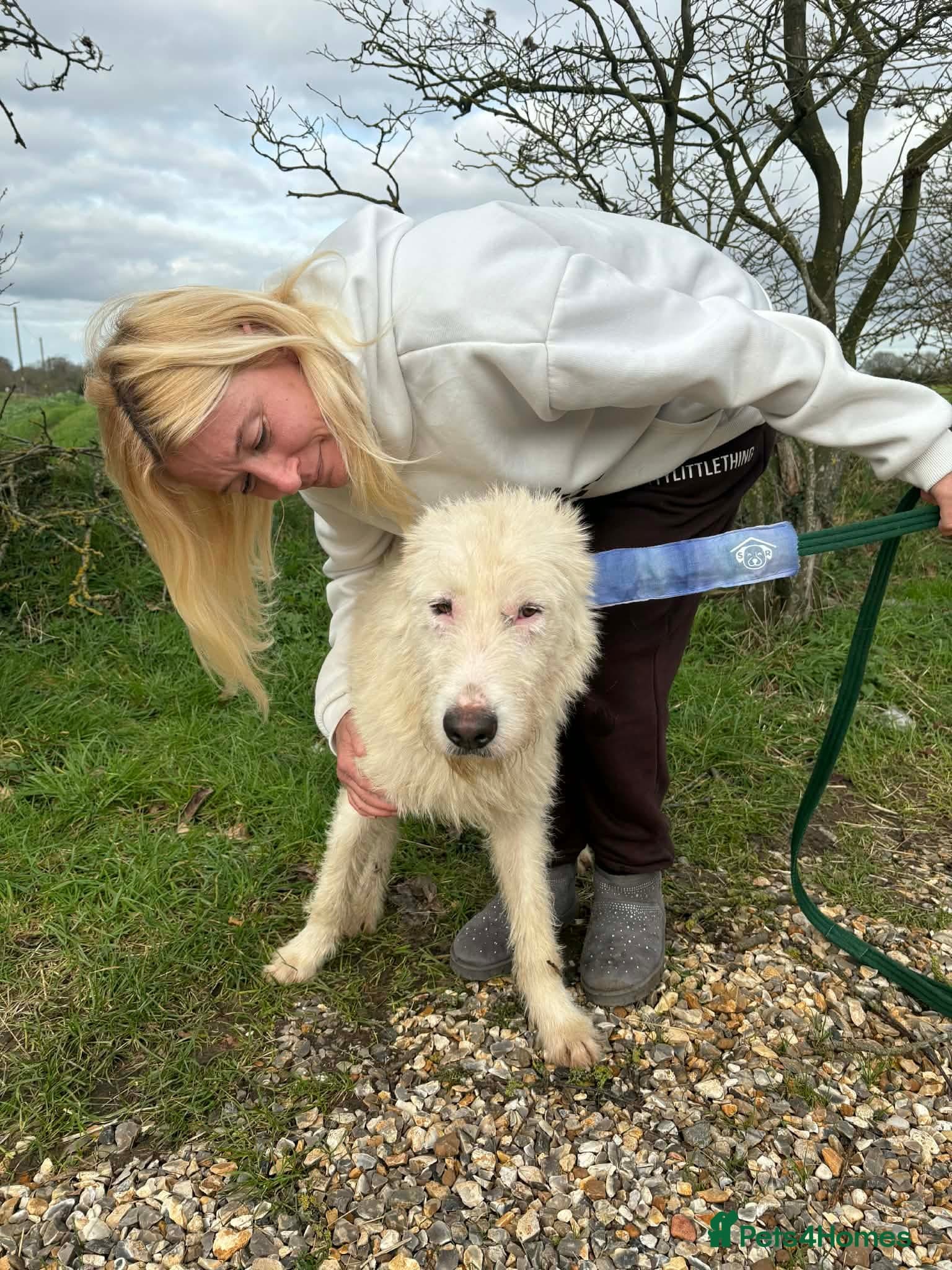 Peter - Norwich Norfolk photo 6