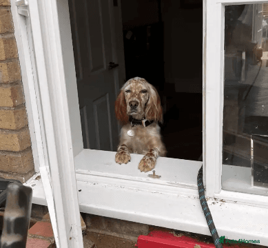 Bonnie (Laila) photo 5