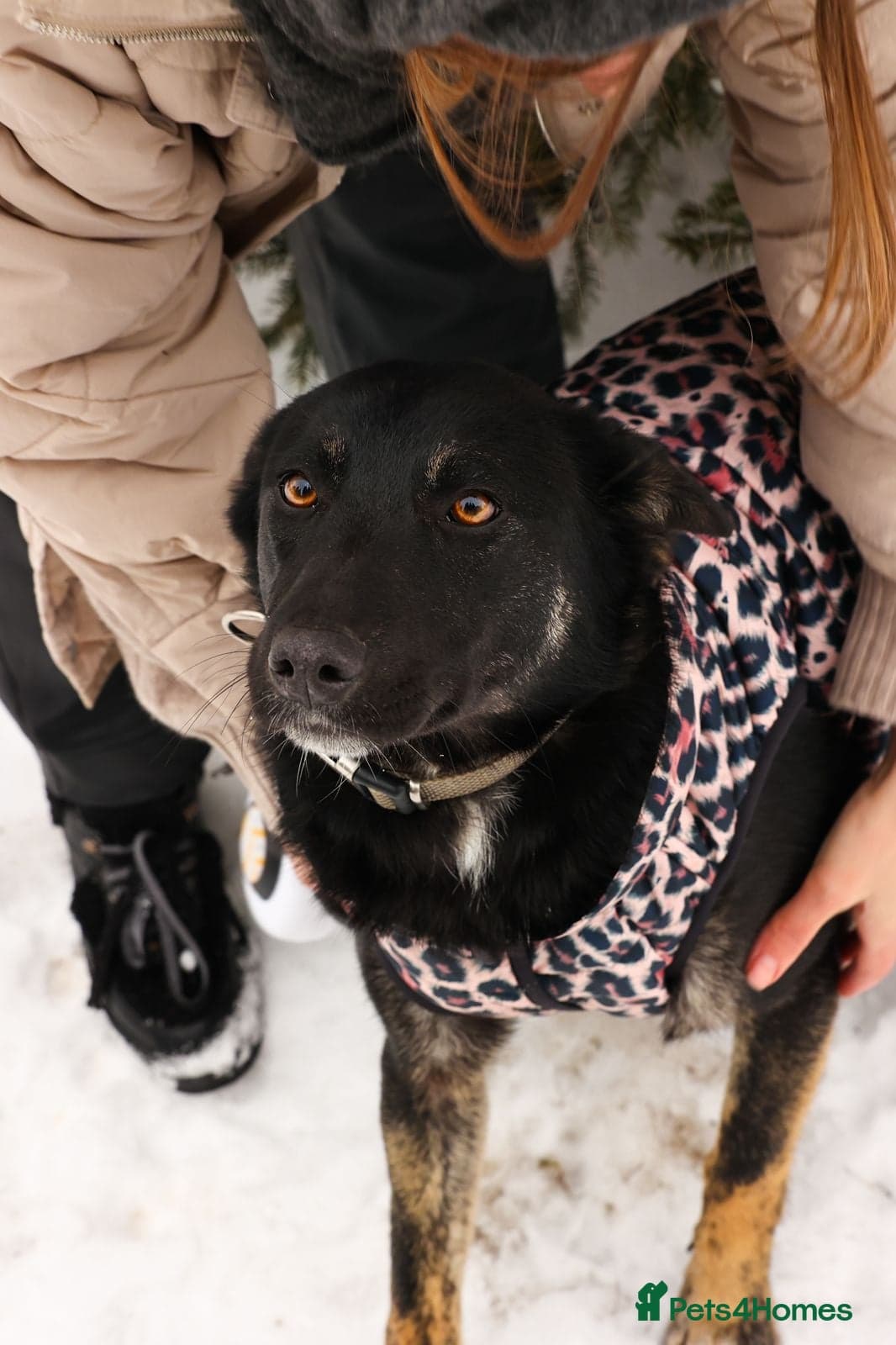 ️MILLA❤️11 month, calm, thoughtful girl photo 10