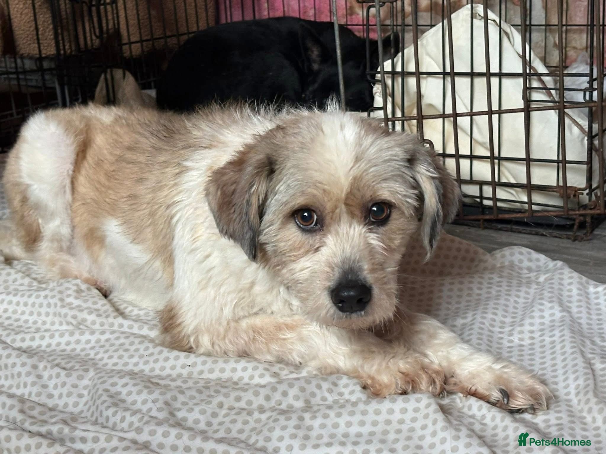 Kim - Norwich Norfolk photo 3