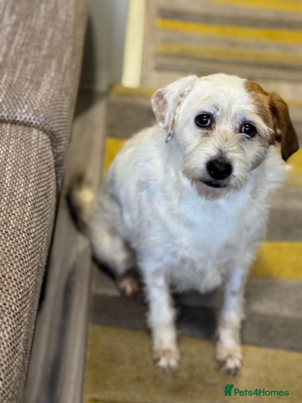 Cute girl Pepsi photo 2