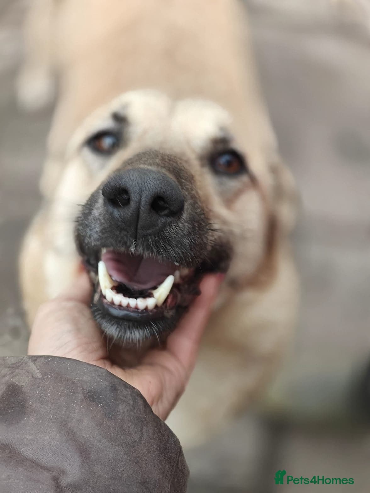 ๏ธ๐ถ stacy photo 10