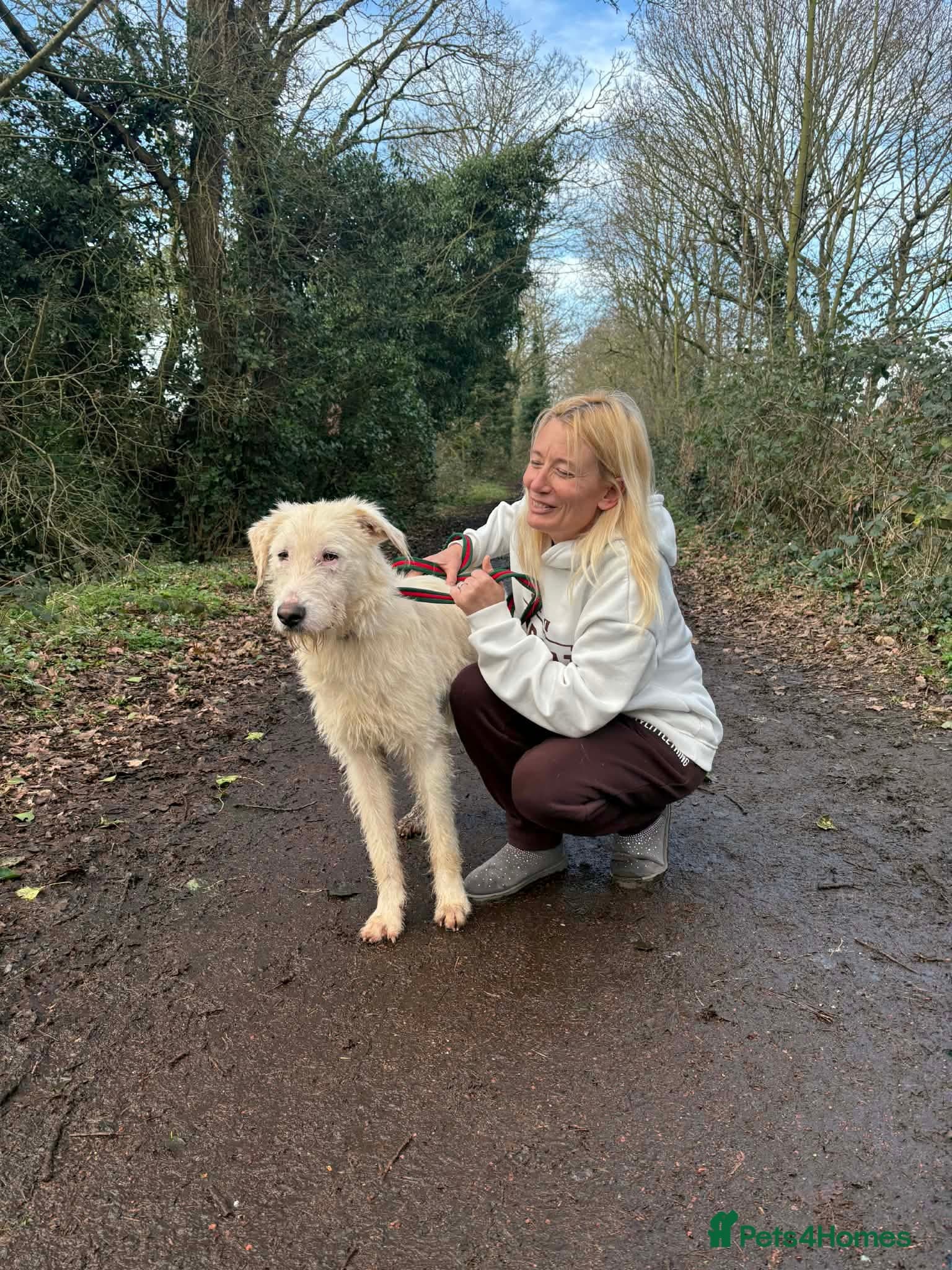 Peter - Norwich Norfolk photo 8