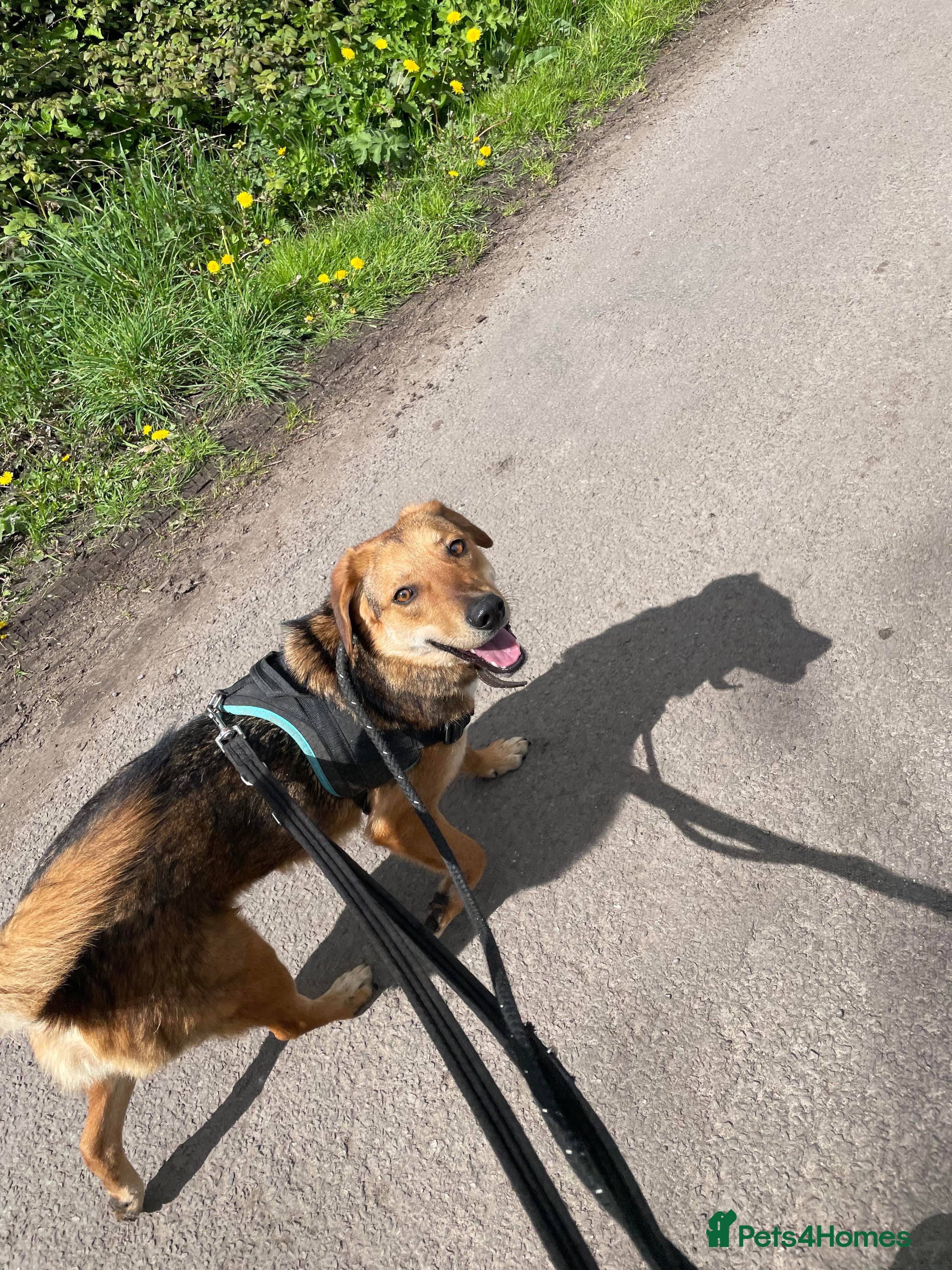 Meet Shiloh, currently residing in Cheshire photo 5