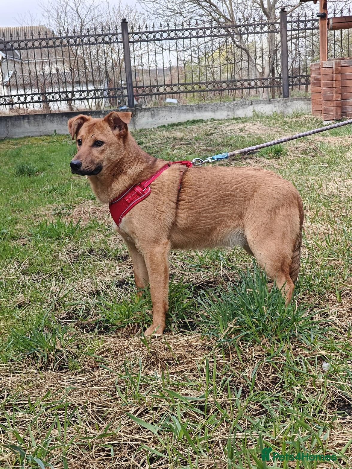 ๏ธ๐ถ yara photo 4