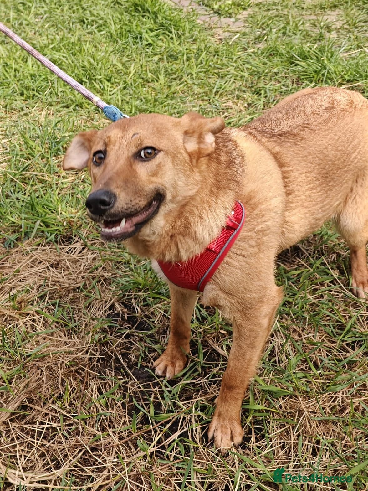 ๏ธ๐ถ yara photo 6