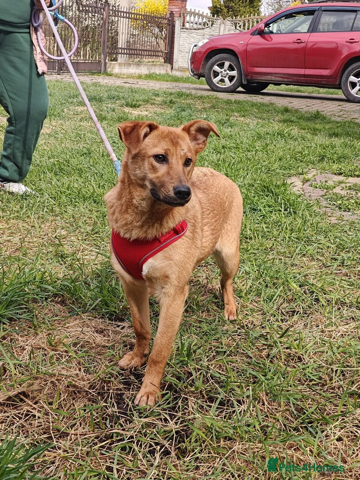 ๏ธ๐ถ yara photo 14