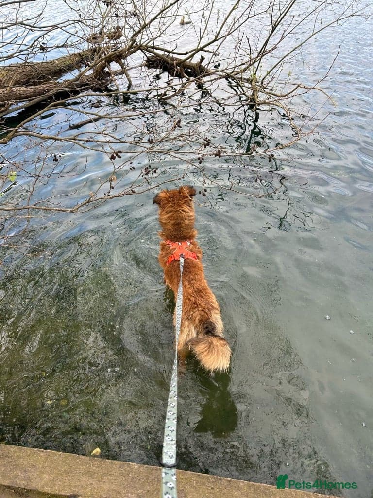 Coffee & robyn photo 14