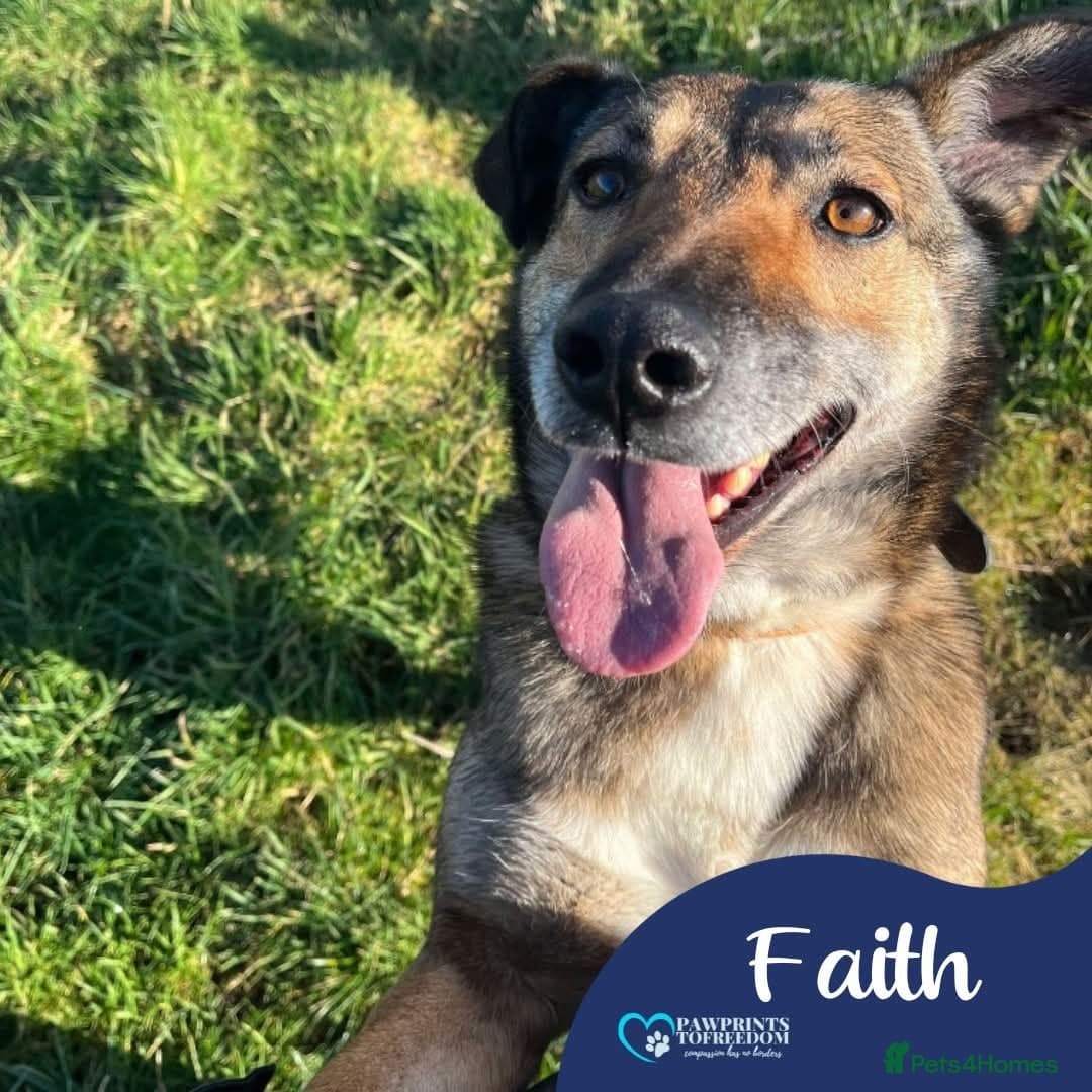 Meet Faith, currently residing in Cheshire photo 2