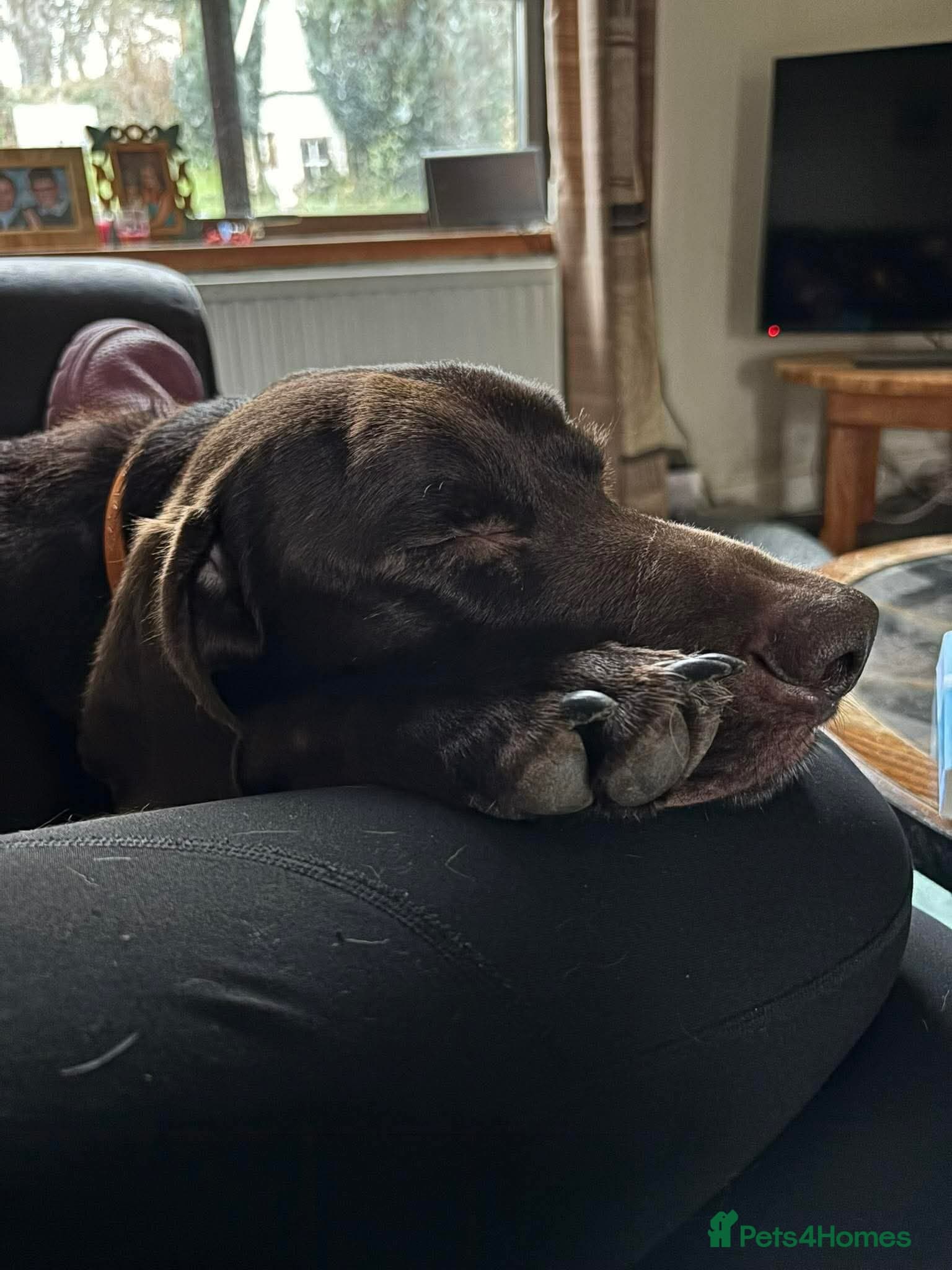 ️ meet wilson photo 6